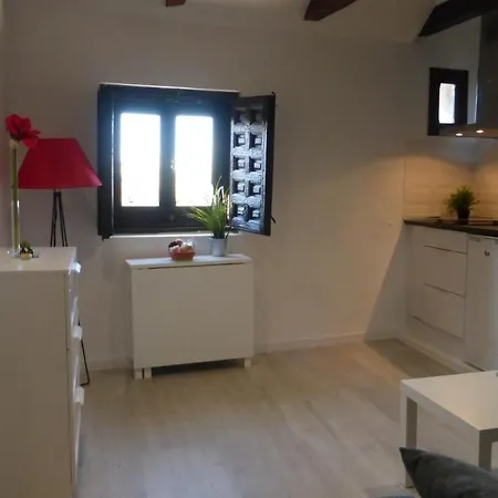 Casa Del Maestro Apartment Toledo